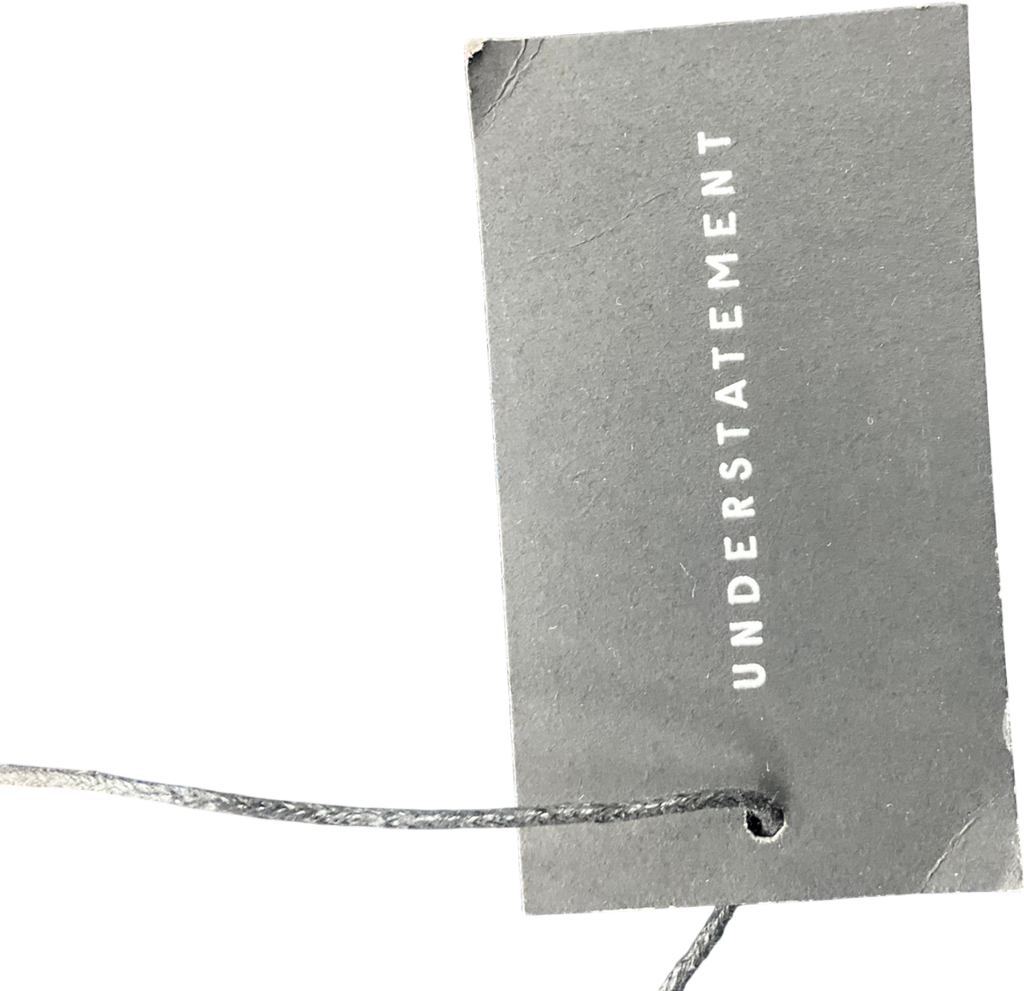 Understatement Blue Lace Cheeky Briefs UK M