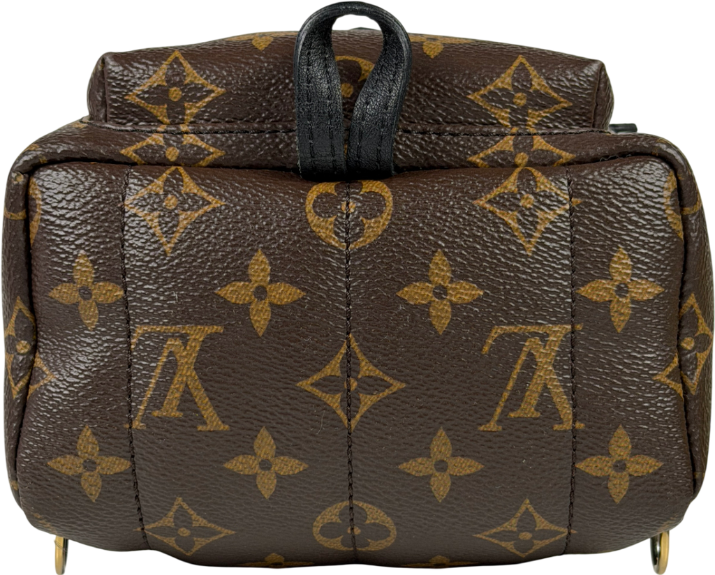 Louis Vuitton Brown LV Monogram Palm Springs Mini Backpack