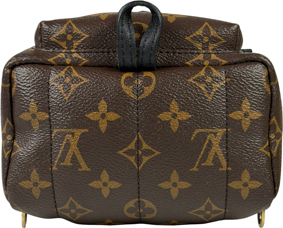Louis Vuitton Brown LV Monogram Palm Springs Mini Backpack