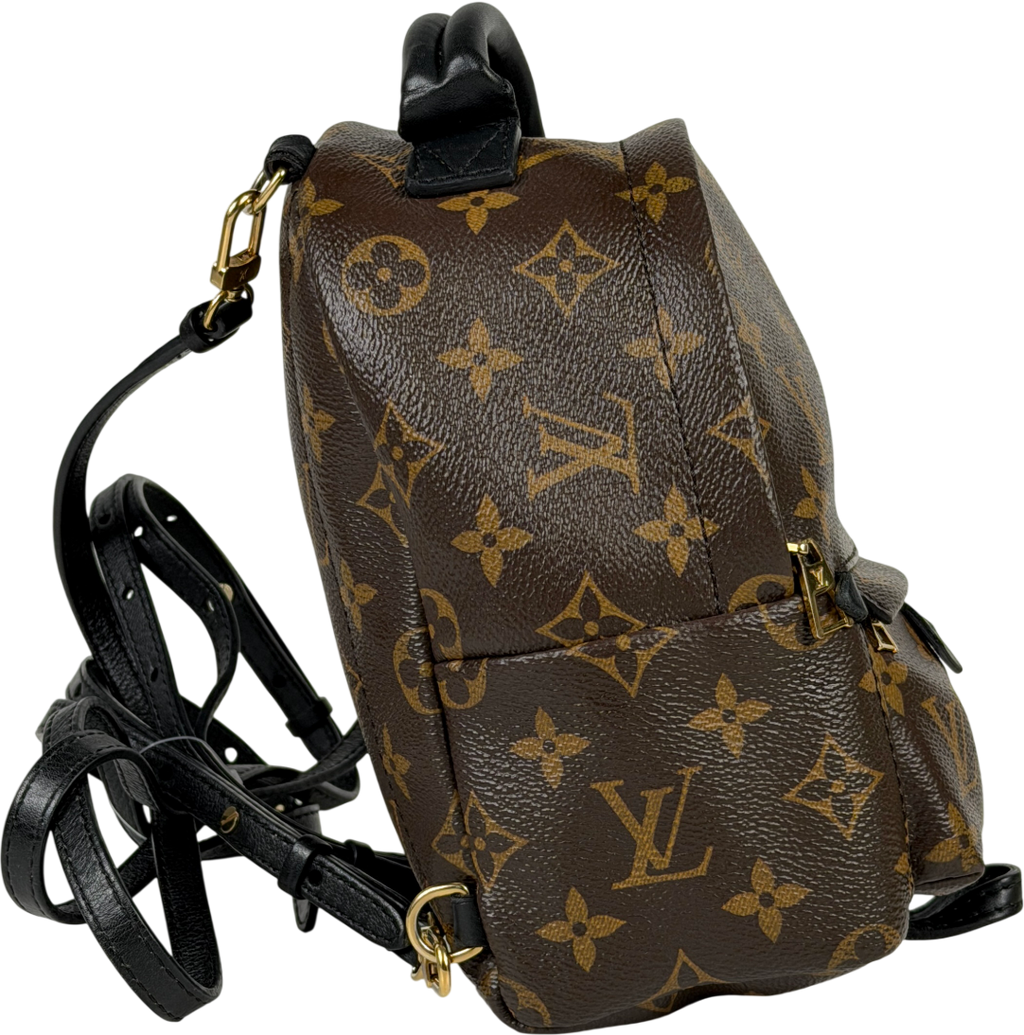 Louis Vuitton Brown LV Monogram Palm Springs Mini Backpack