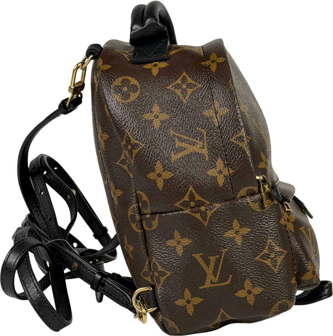Louis Vuitton Brown LV Monogram Palm Springs Mini Backpack