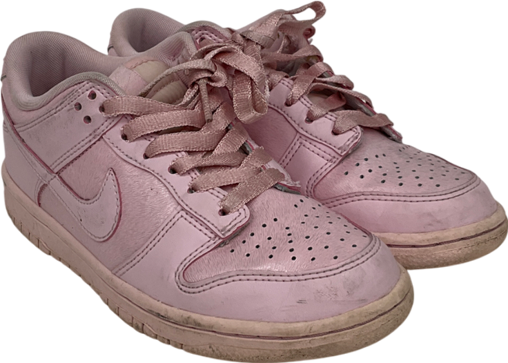 Nike Dunk Gs Prism Pink UK 3.5 EU 36.5 👠