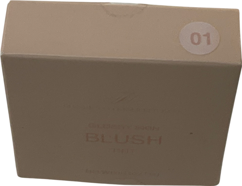 HNB Cosmetics Glossy Skin Blush Tint 01 9g