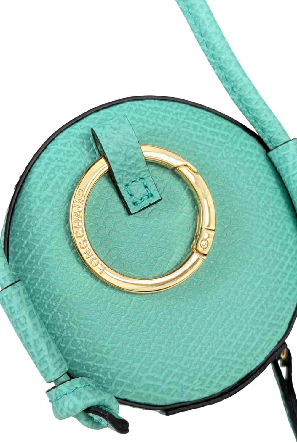 LONGCHAMP Mint Green 'epure Surf' Coin Purse With Gift