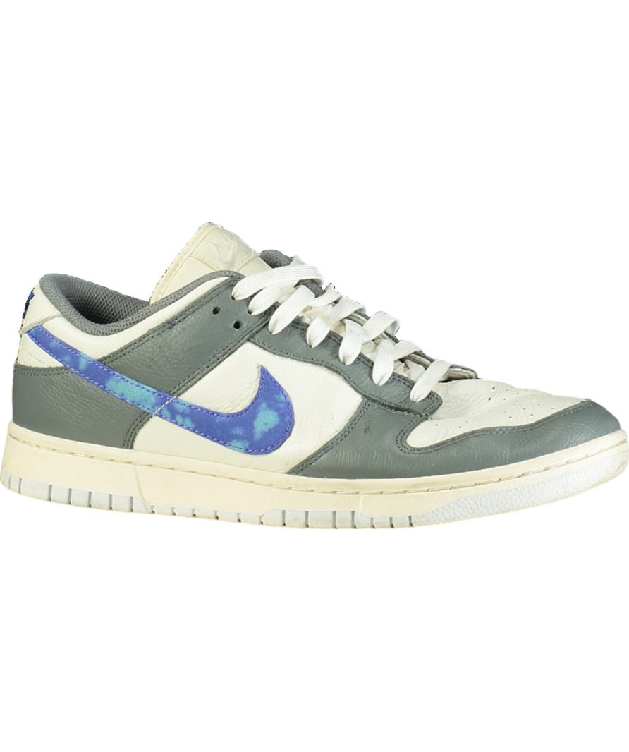 Nike Grey Dunks With Customised Tick UK 9 EU 43 👞