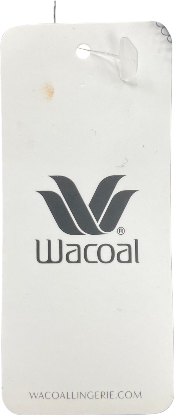 Wacoal Black Lace Briefs UK 10