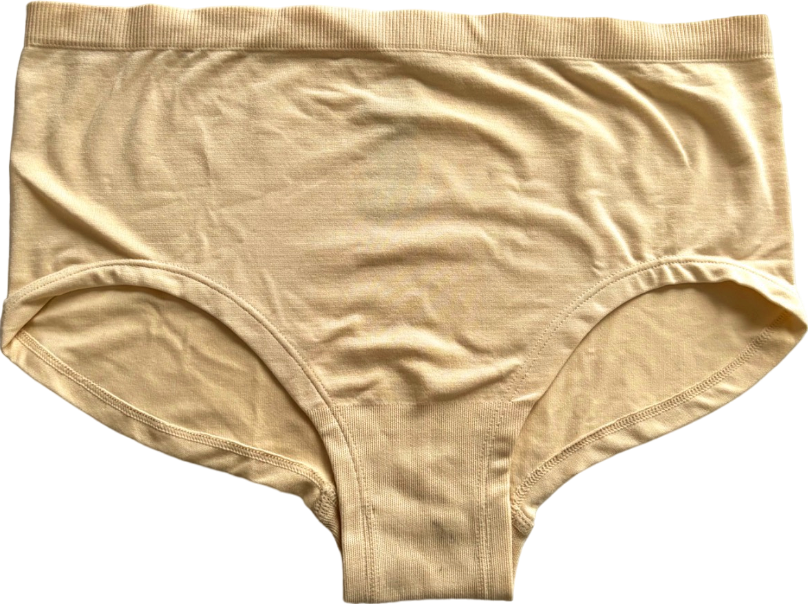 Anthropologie Beige High-Waist Briefs S/M