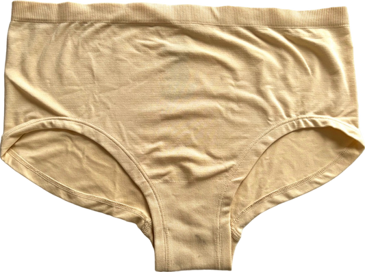 Anthropologie Beige High-Waist Briefs S/M