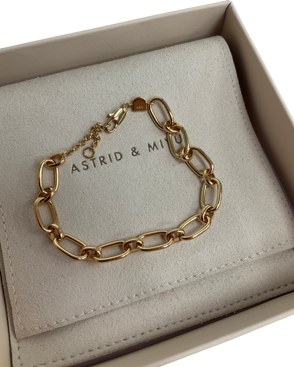 Astrid & Miyu Bold Link Chain Bracelet In Gold One Size