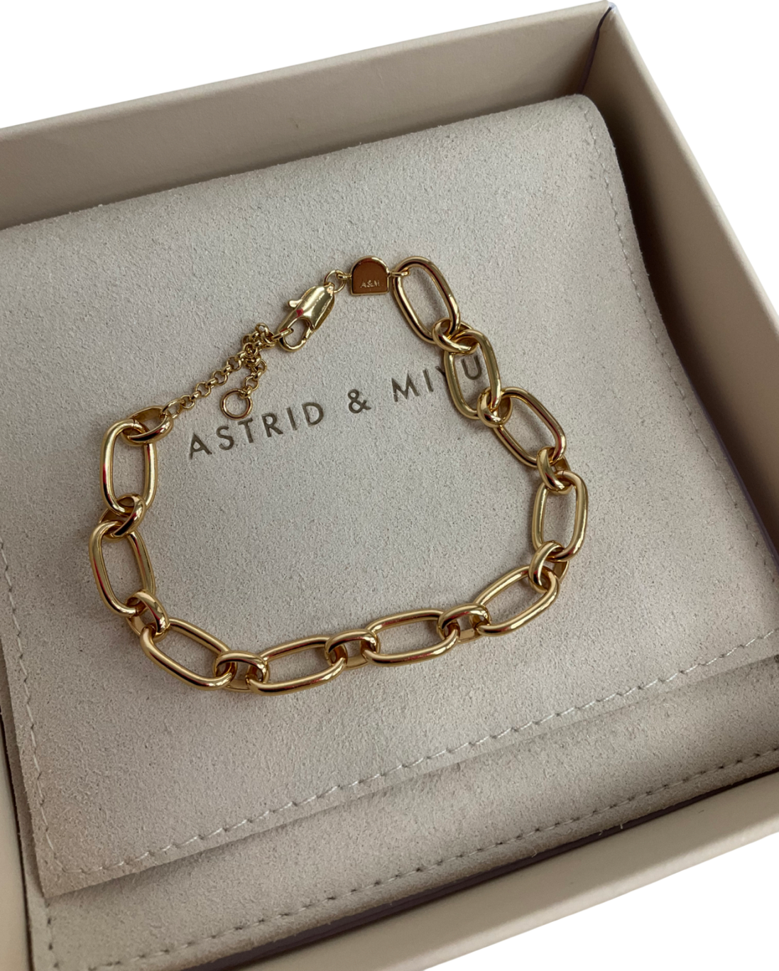 Astrid & Miyu Bold Link Chain Bracelet In Gold One Size