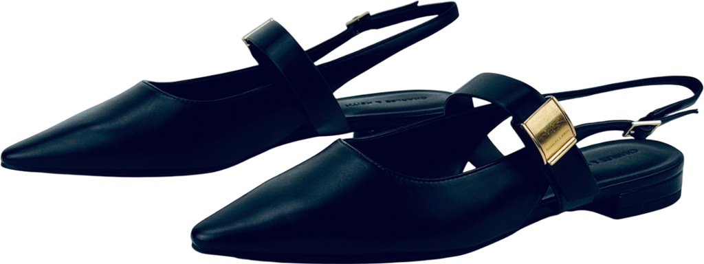 CHARLES & KEITH Yvette Pointed-toe Mary Jane Flats - Black UK 6 EU 39 👠