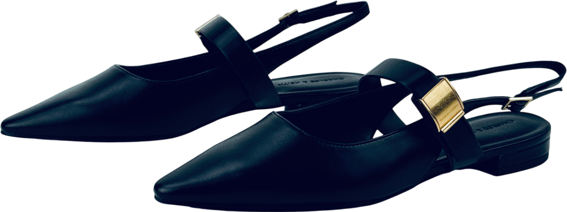 CHARLES & KEITH Yvette Pointed-toe Mary Jane Flats - Black UK 6 EU 39 👠