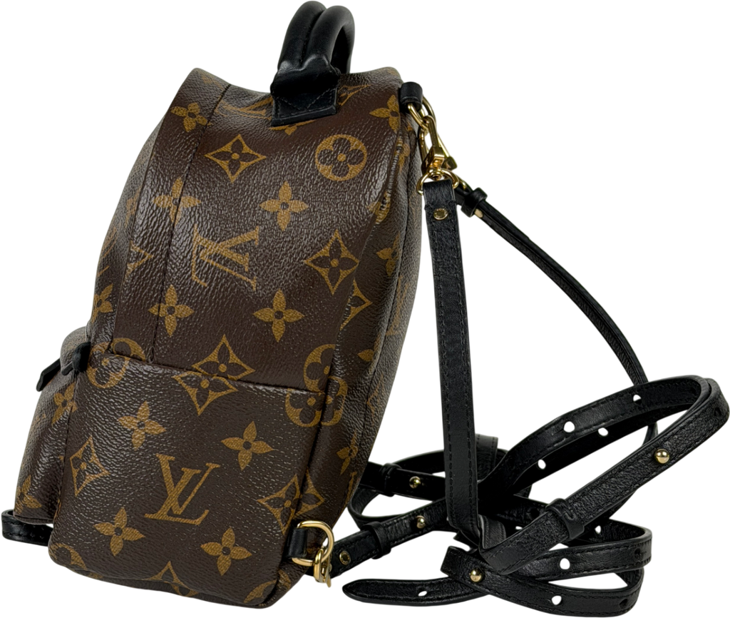 Louis Vuitton Brown LV Monogram Palm Springs Mini Backpack