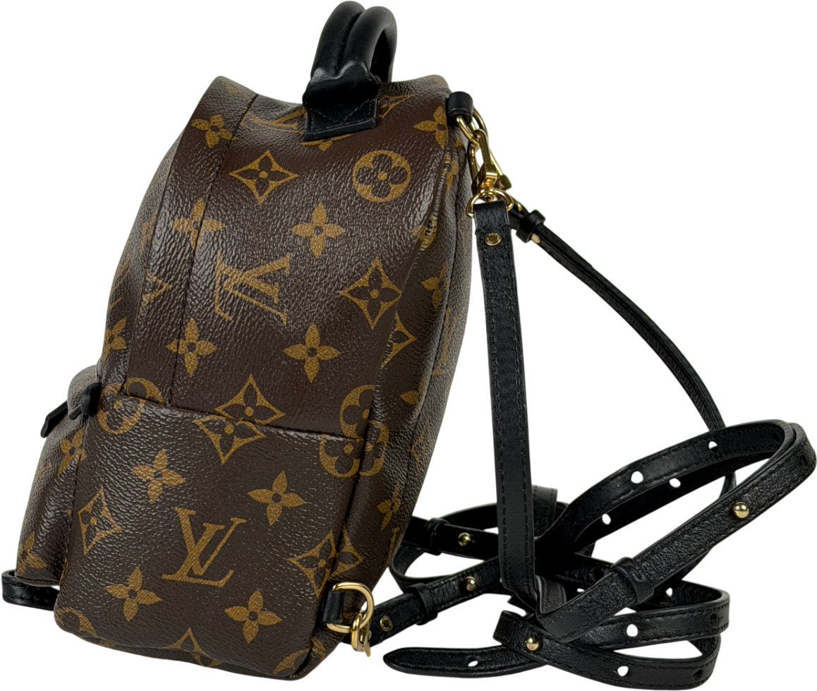 Louis Vuitton Brown LV Monogram Palm Springs Mini Backpack