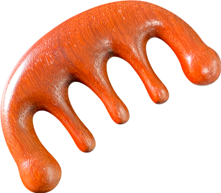 Brown Wooden Massage Comb One Size