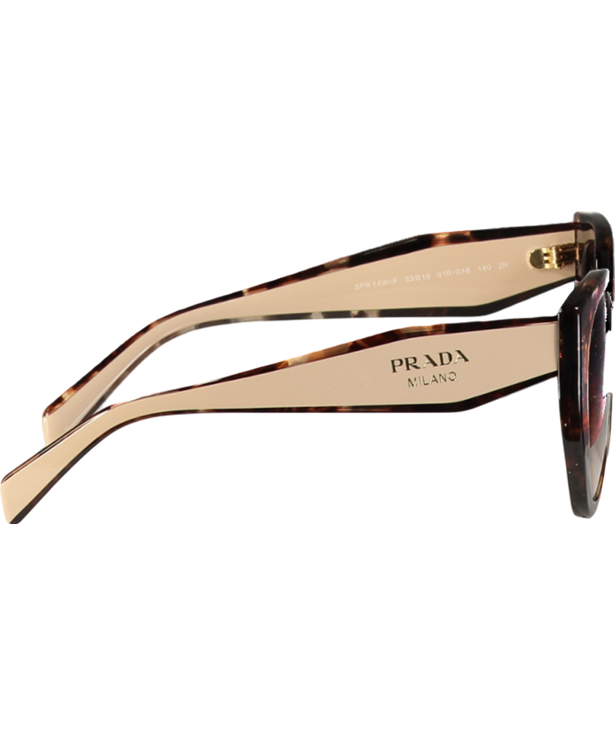 Prada Brown Caramel Tortoise-powder/brown Gradient Spr14w Logo Arm Sunglasses In Case