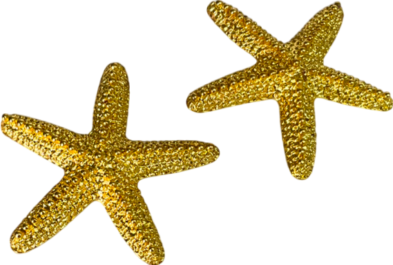 Metallic Star Fish Earrings One Size
