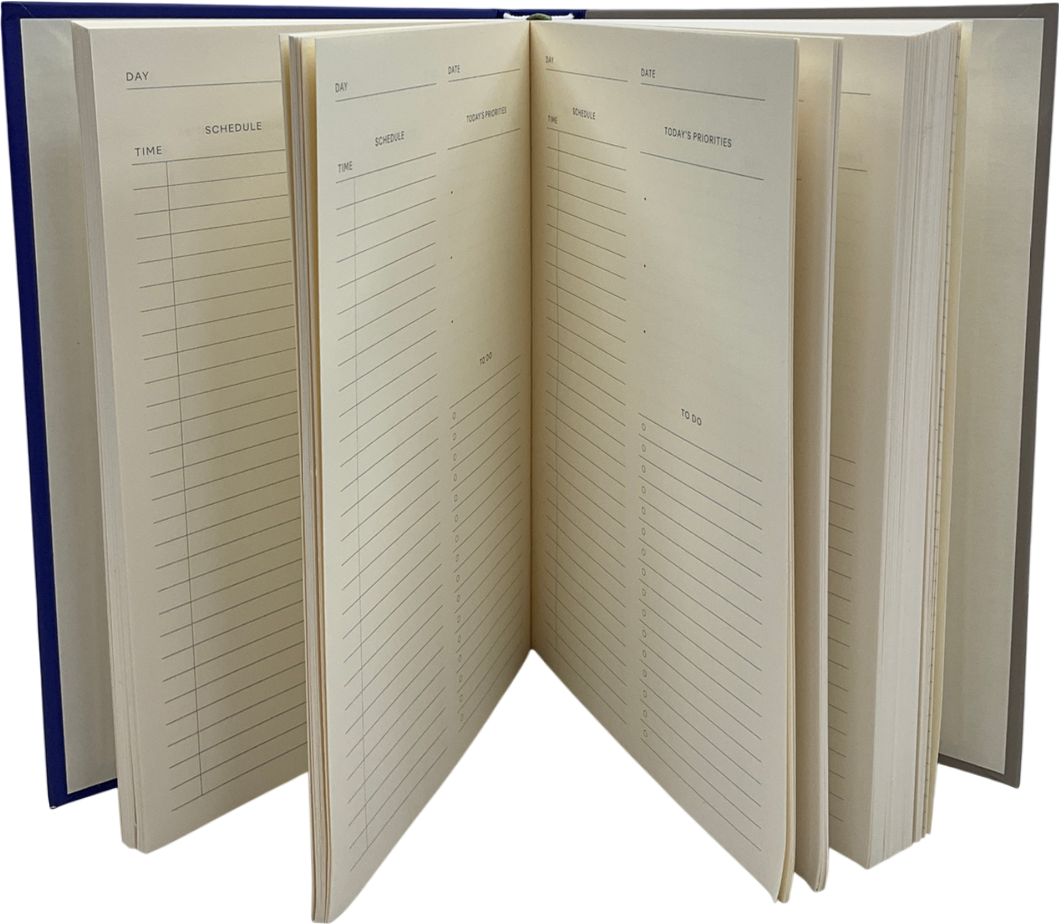 PAPIER Blue Wonder Undated Daily Diary