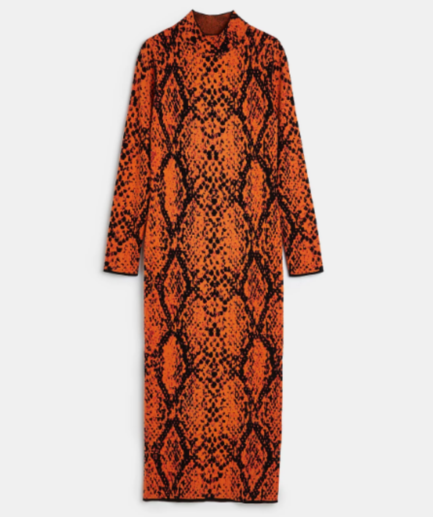 Snake print dress hot sale river island