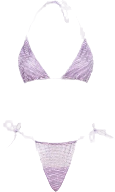 santa brands Crystal Embellished Anta Brand Orchid Bikini Set In Purple UK S