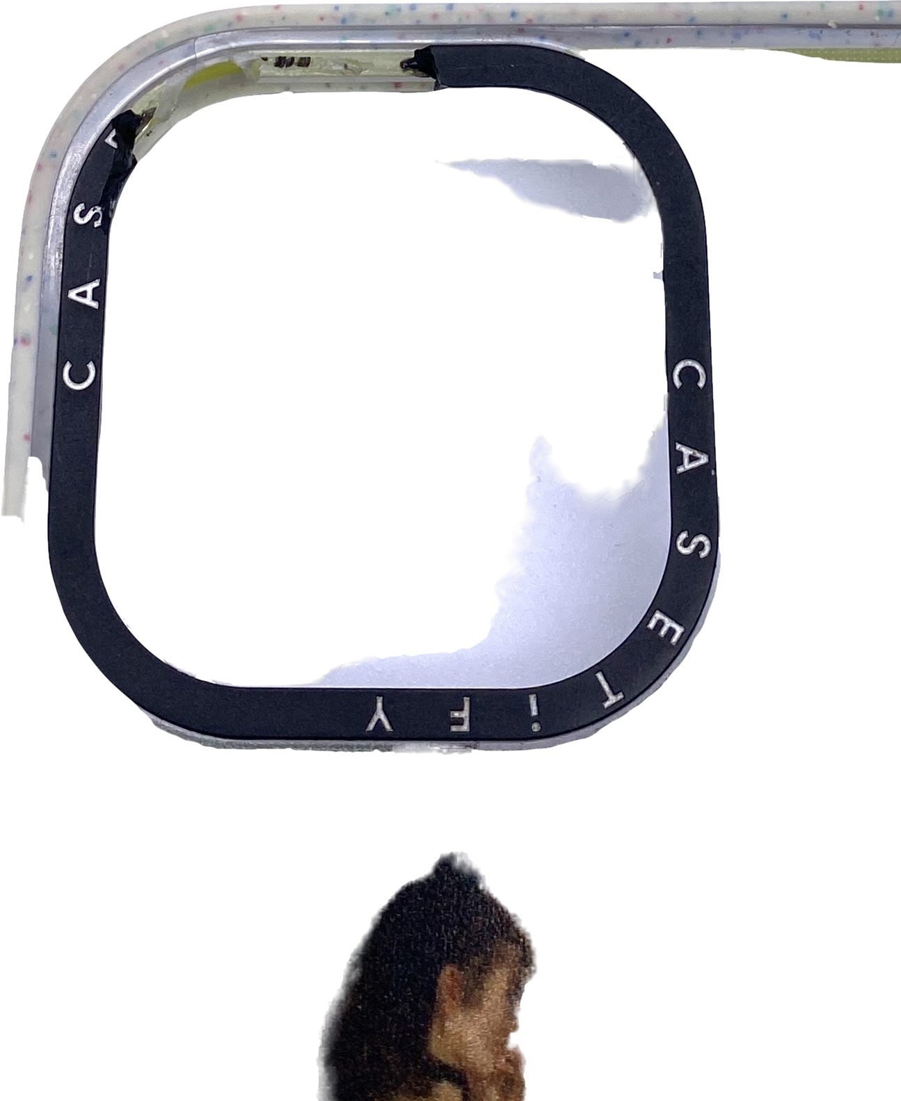 Casetify Cream Edgar Degas Iphone Case (crack On The Camera Area)