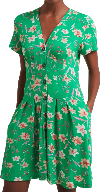 French Connection Green Camille Meadow V Neck Dress BNWT UK S