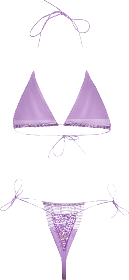santa brands Crystal Embellished Anta Brand Orchid Bikini Set In Purple UK S