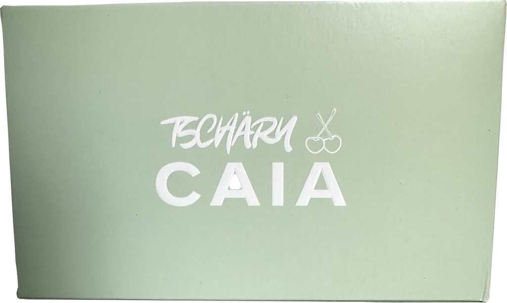 caia Tschäry warm, neutral shades of highlighter & eyeshadow Palette