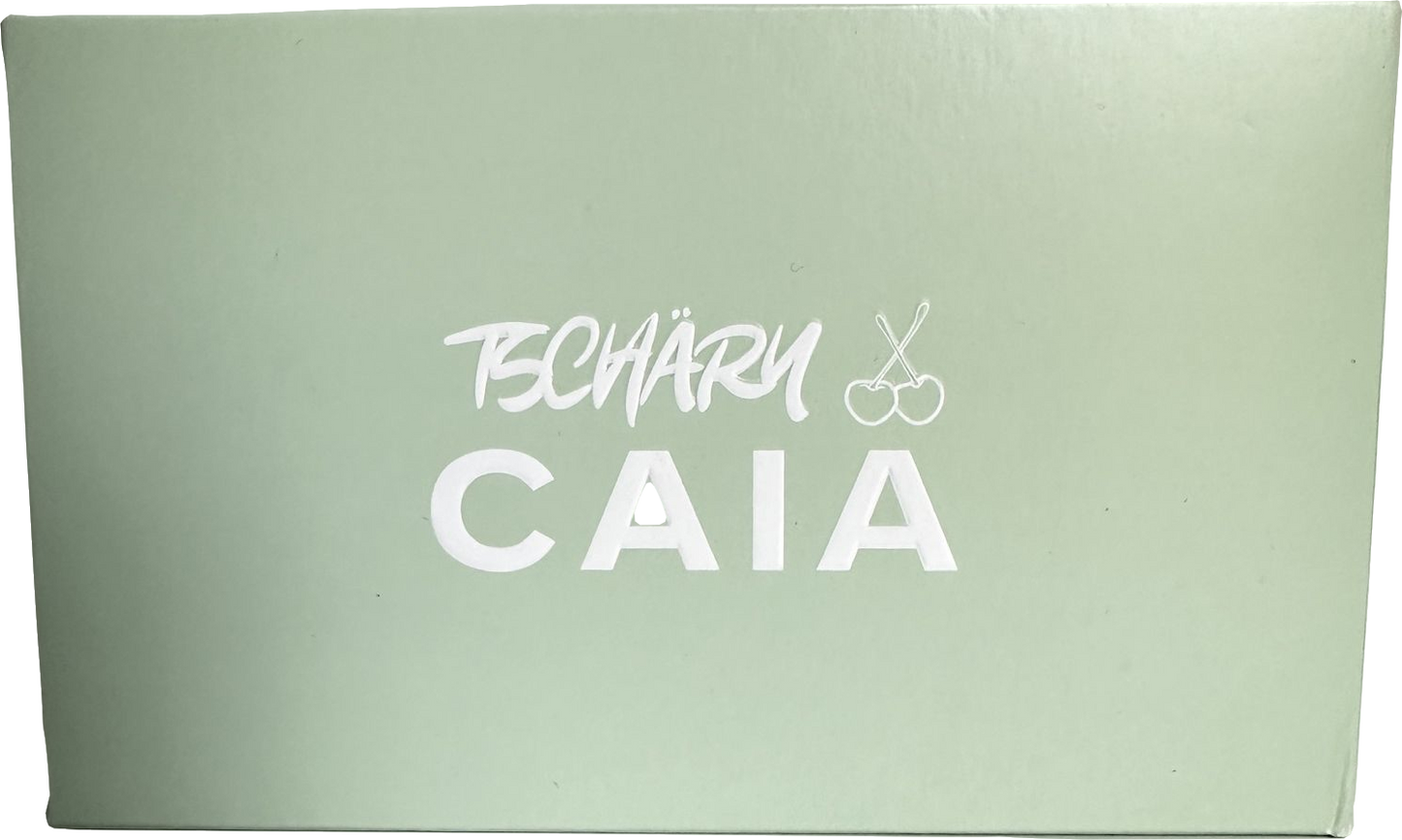 caia Tschäry warm, neutral shades of highlighter & eyeshadow Palette