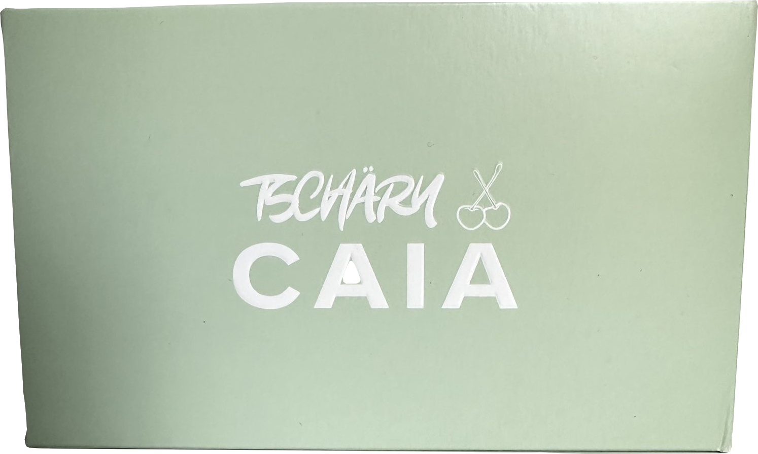 caia Tschäry warm, neutral shades of highlighter & eyeshadow Palette