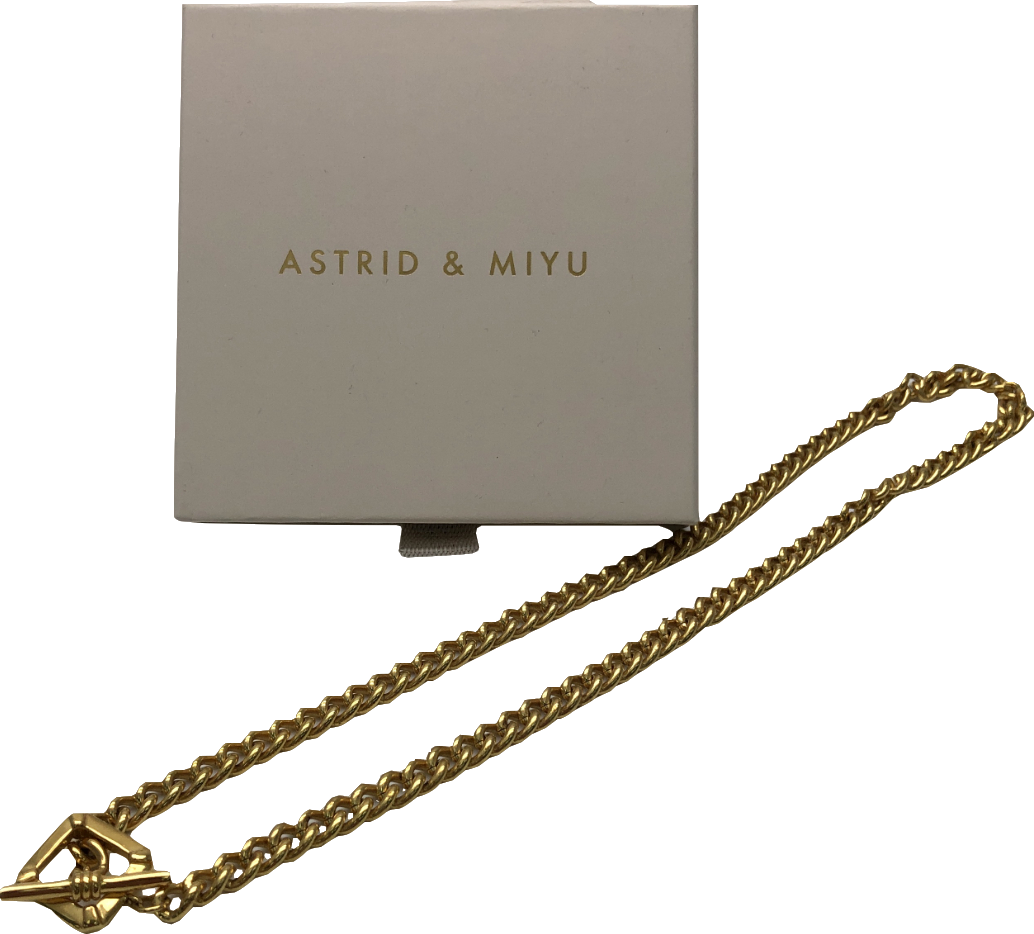 ?? CHECK BRAND?? Astrid & Miyu Chunky T Bar Necklace In Gold