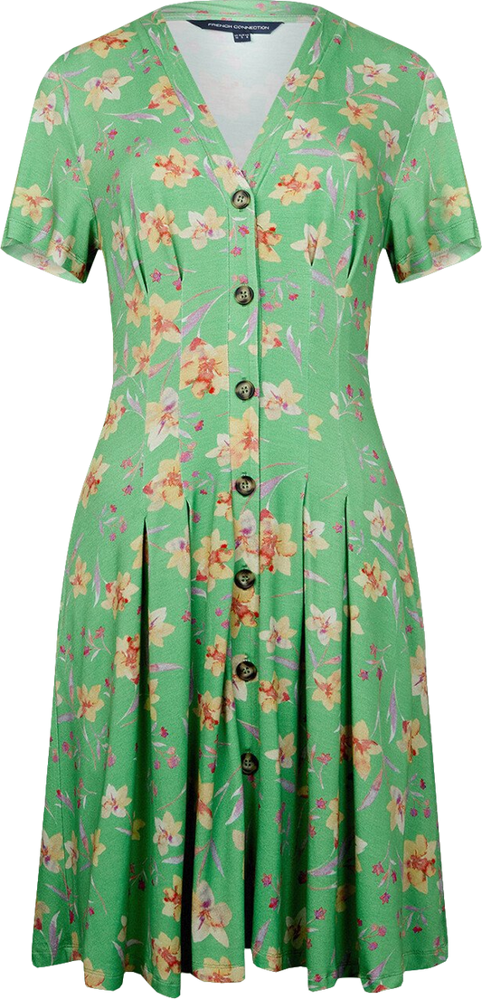 French Connection Green Camille Meadow V Neck Dress BNWT UK S