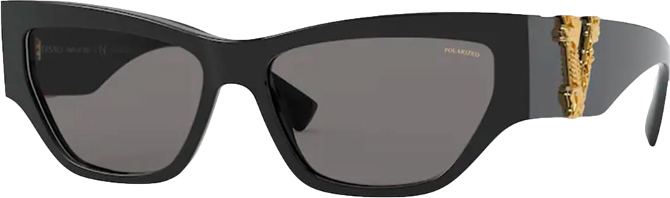 Versace Black / Gold V Logo 4383 Sunglasses