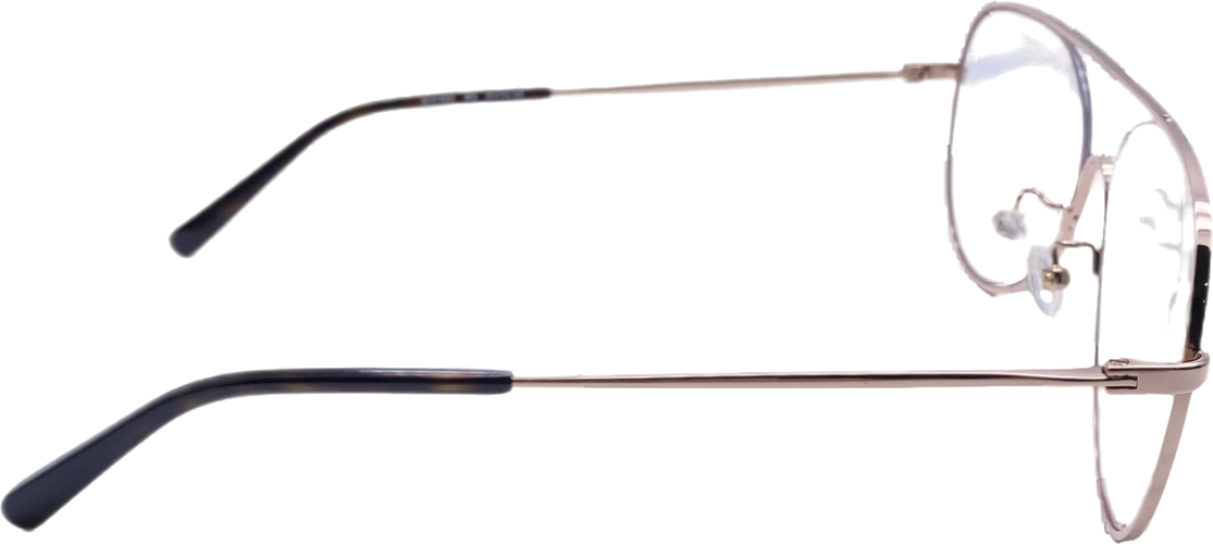 Stella McCartney Metallic Sc0160o Eye Glasses Frames